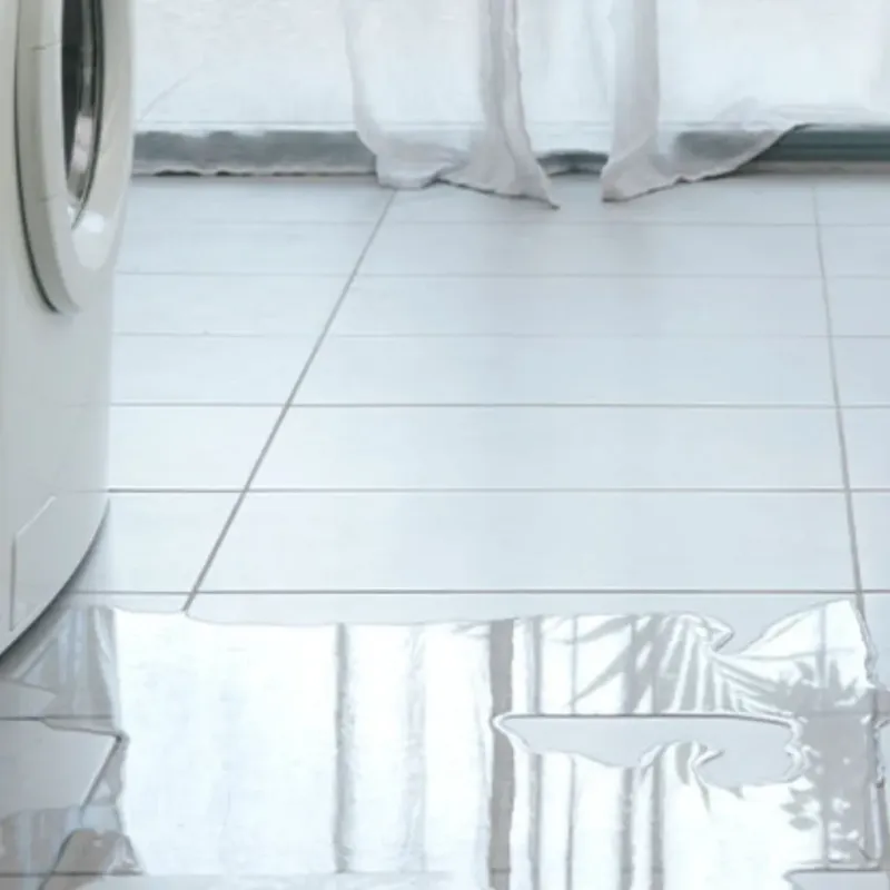 Appliance Leak Cleanup in Boaz, AL