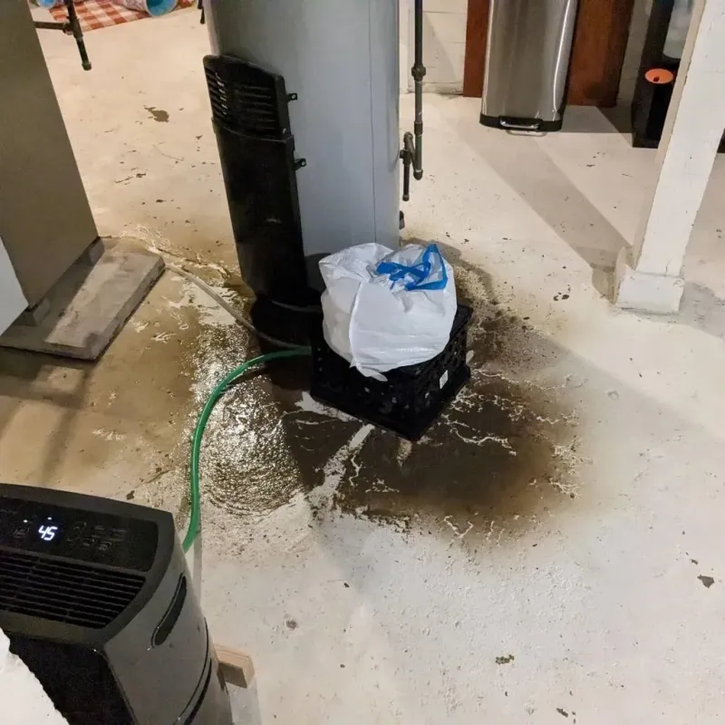 Sewage Backup Cleanup Service in Boaz, AL